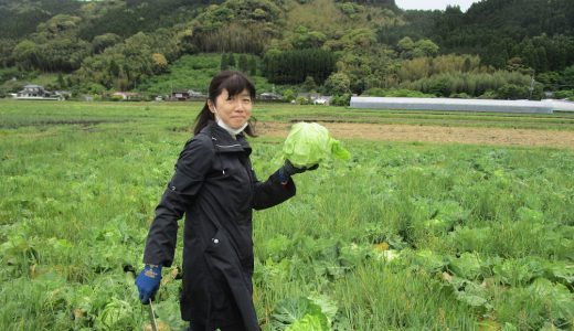 本坊農園で野菜収穫！