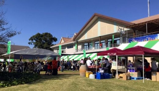 都農ワインHARVEST FESTIVAL 11月6日開催